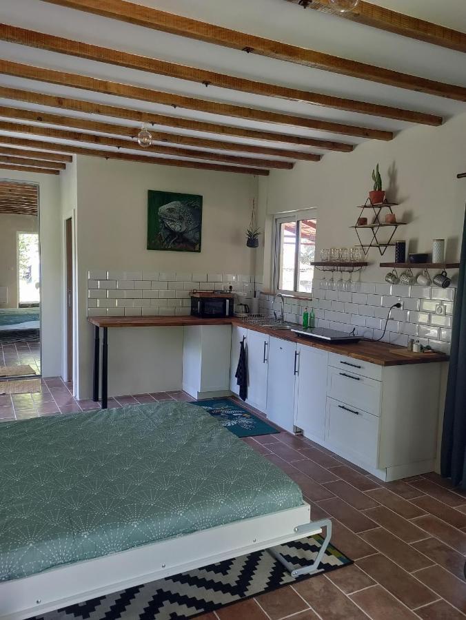 Chez Chapelle In The Heart Of The Gascony With Pool And Hot Tub Apartment Auch Exterior photo